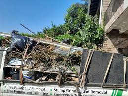 Best Electronics and E-Waste Disposal  in Lakewood Ranch, FL